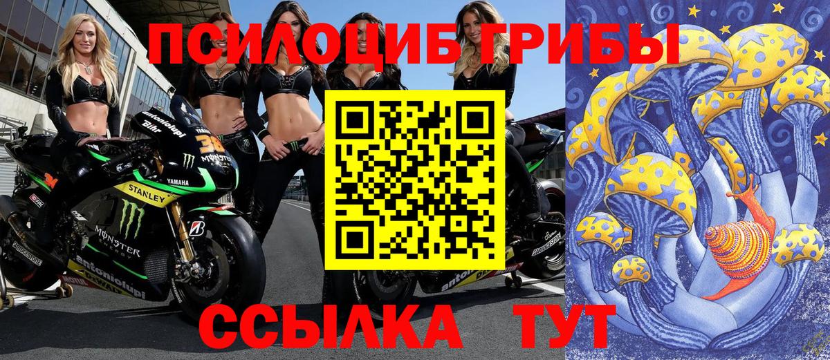 Псилоцибиновые грибы прущие грибы Норильск