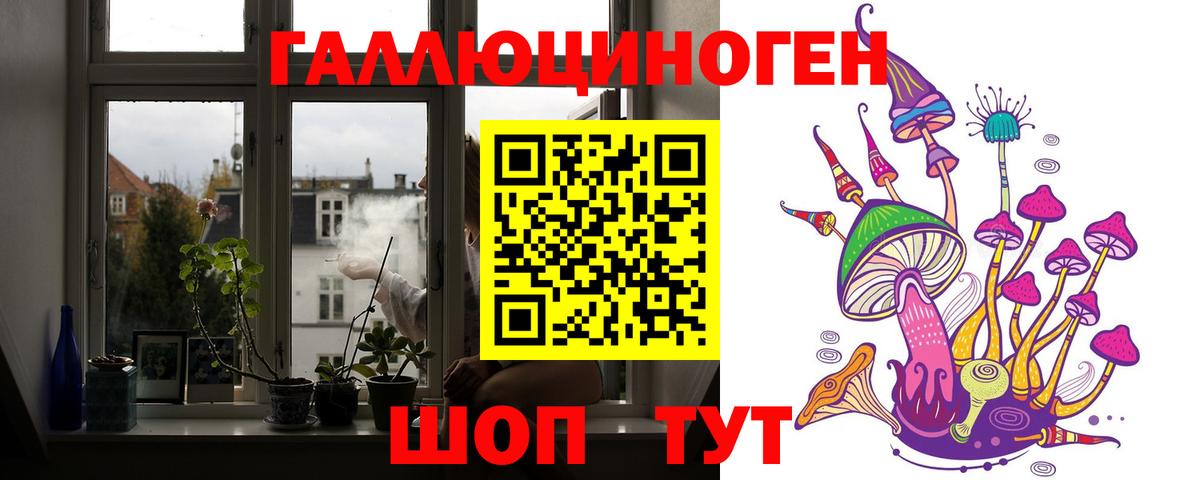 Псилоцибиновые грибы GOLDEN TEACHER  Вход с VPN  Норильск 